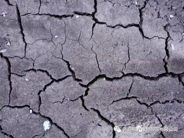 必发88·(中国)首页